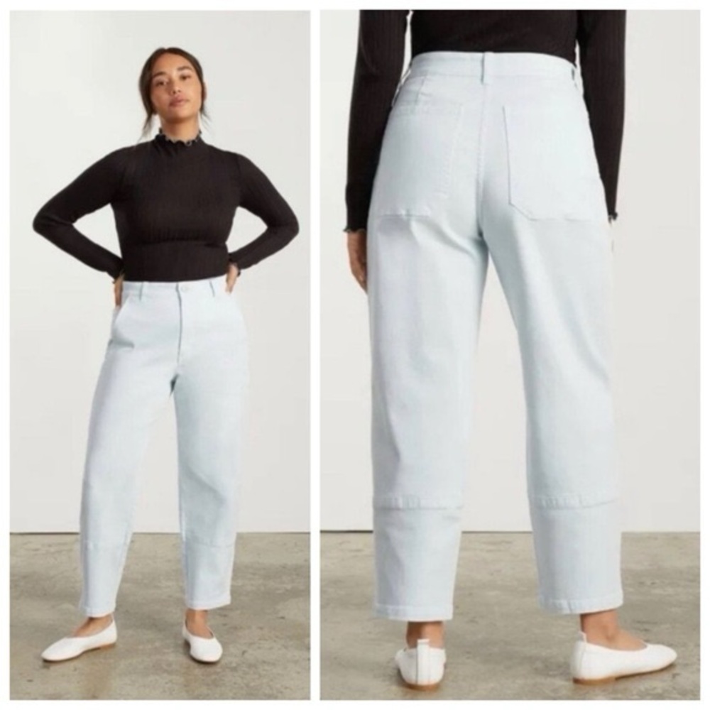 Everlane utility barrel pant sky blue high waisted size 0 loose fit